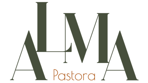 Alma Pastora - Tartas de Queso Gourmet